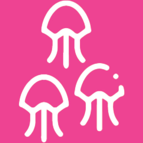 jellies icon