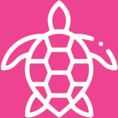 turtle icon