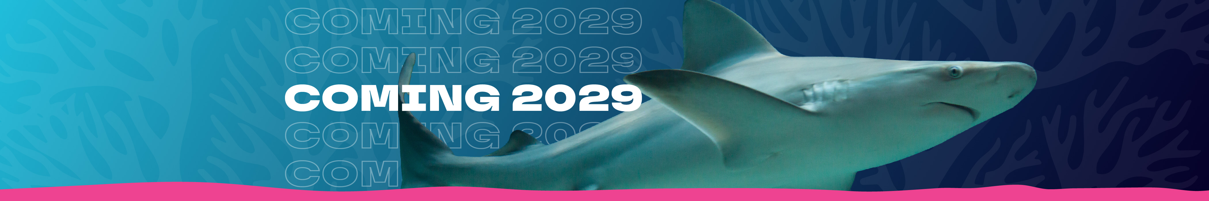 Coming 2029 graphic