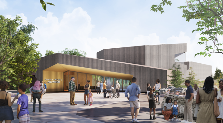 building rendering