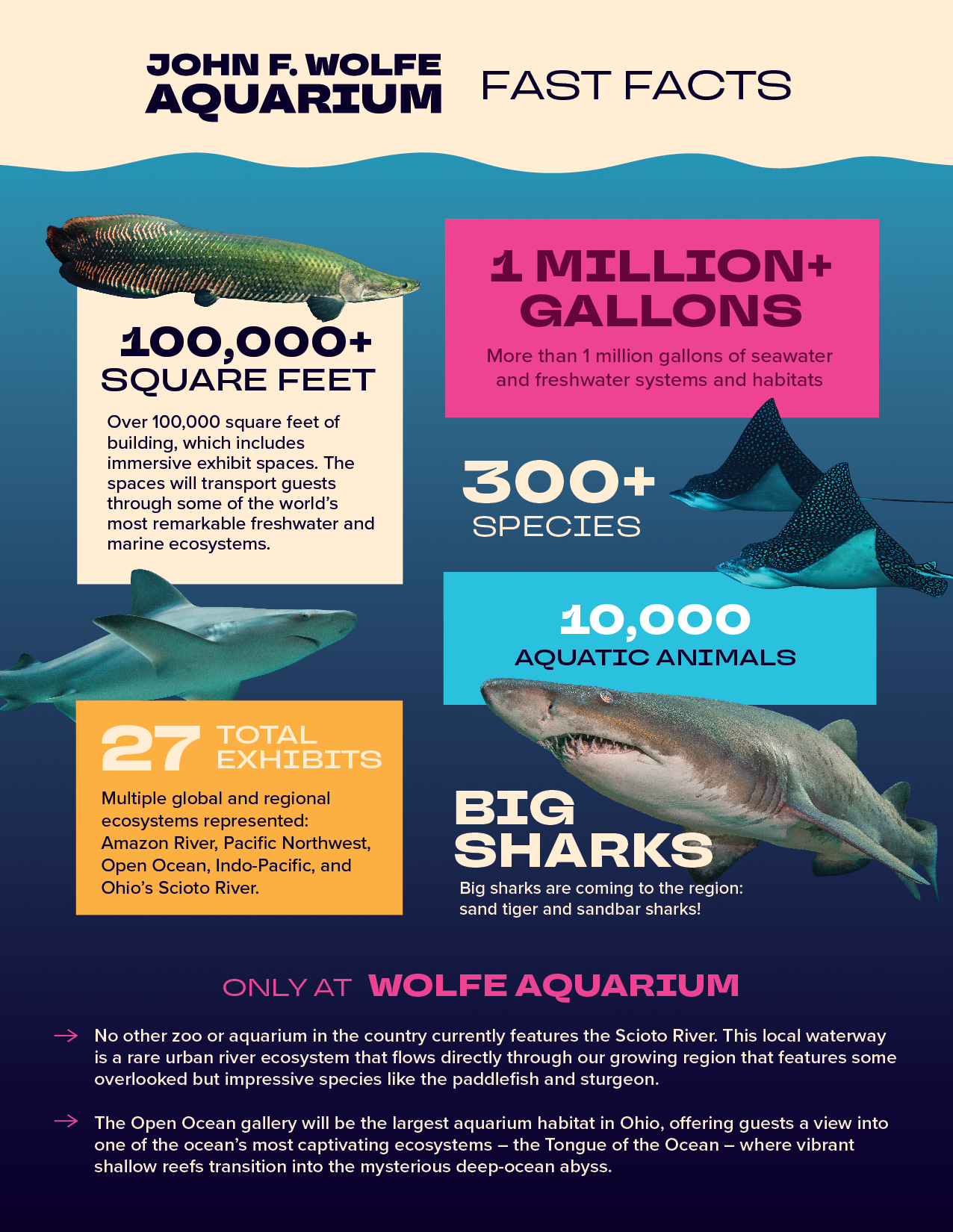 Wolfe Aquarium Fast Facts infographic