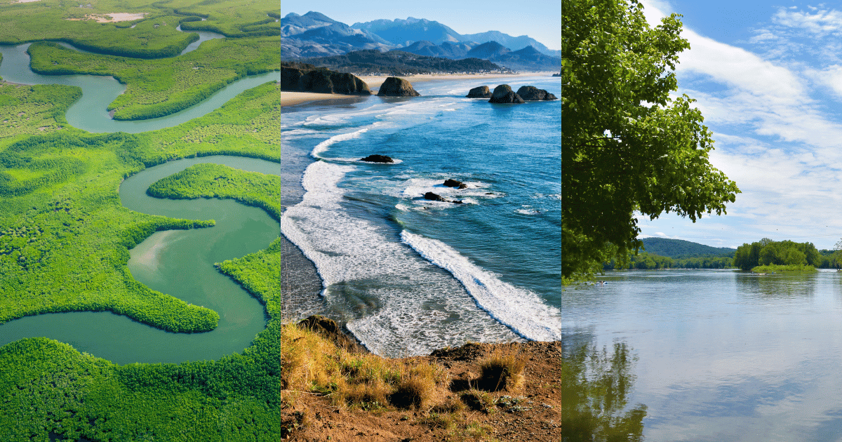 collage of stock images