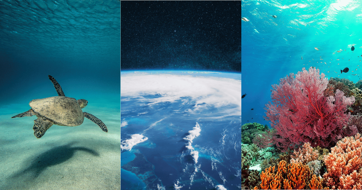 collage of stock images