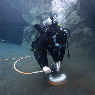 diver in water